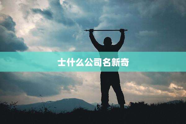 士什么公司名新奇