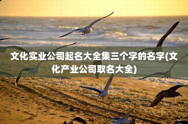 文化实业公司起名大全集三个字的名字(文化产业公司取名大全)