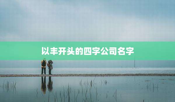 以丰开头的四字公司名字