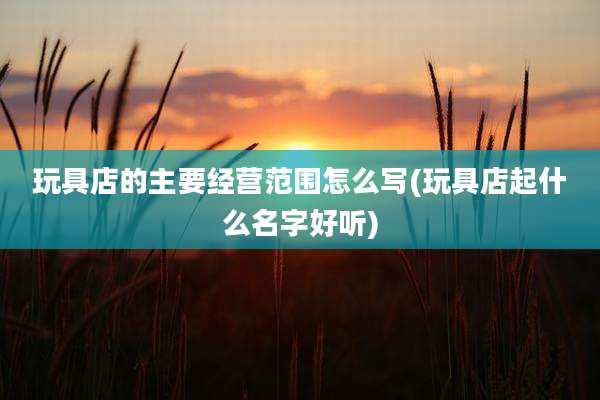 玩具店的主要经营范围怎么写(玩具店起什么名字好听)