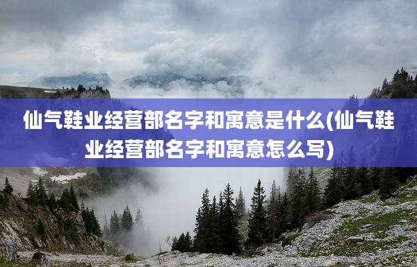 仙气鞋业经营部名字和寓意是什么(仙气鞋业经营部名字和寓意怎么写)
