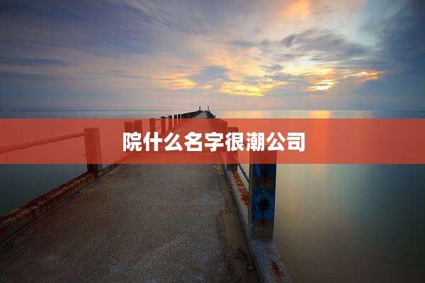 院什么名字很潮公司