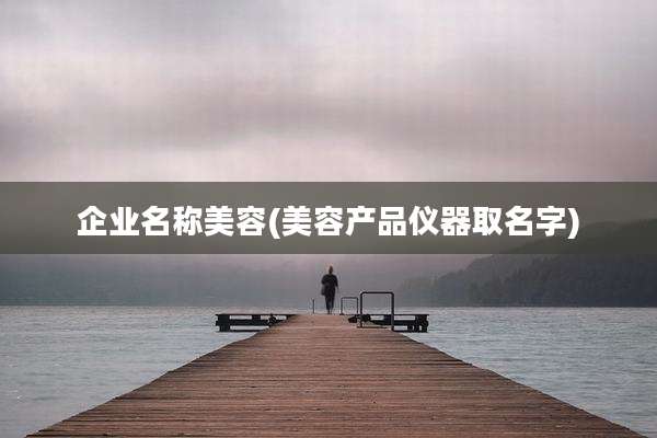 企业名称美容(美容产品仪器取名字)