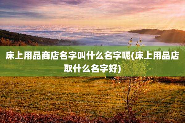 床上用品商店名字叫什么名字呢(床上用品店取什么名字好)