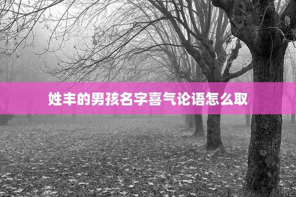 姓丰的男孩名字喜气论语怎么取