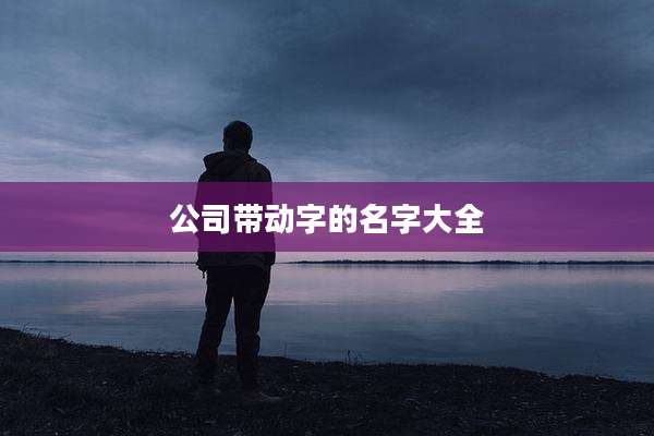 公司带动字的名字大全