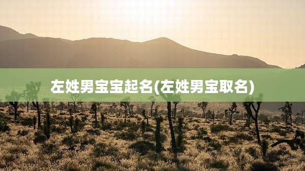 左姓男宝宝起名(左姓男宝取名)