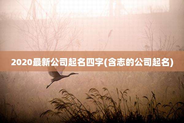 2020最新公司起名四字(含志的公司起名)