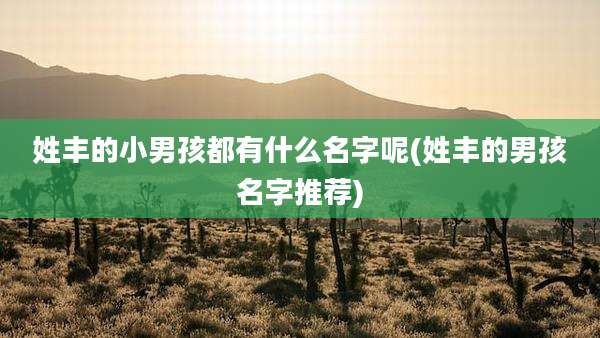 姓丰的小男孩都有什么名字呢(姓丰的男孩名字推荐)