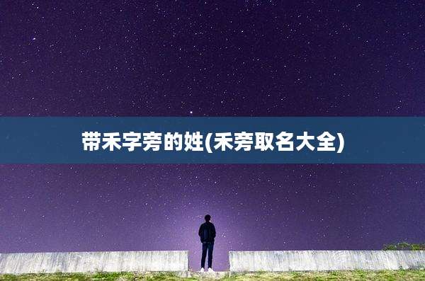 带禾字旁的姓(禾旁取名大全)