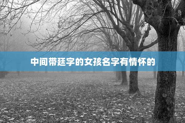 中间带廷字的女孩名字有情怀的