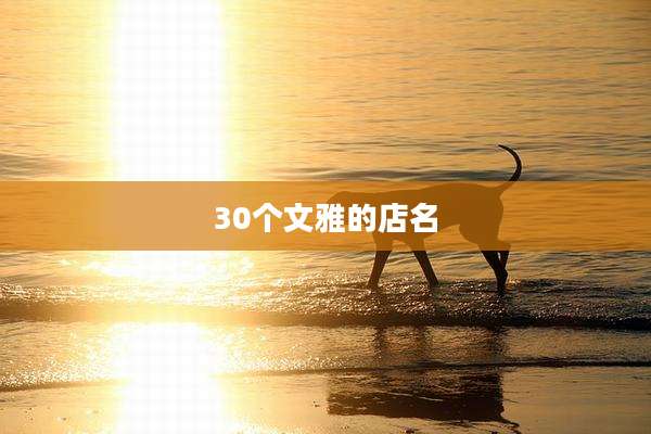 30个文雅的店名