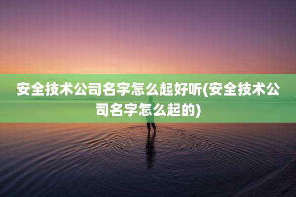 安全技术公司名字怎么起好听(安全技术公司名字怎么起的)