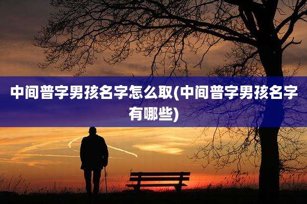 中间普字男孩名字怎么取(中间普字男孩名字有哪些)