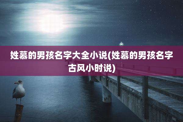 姓慕的男孩名字大全小说(姓慕的男孩名字古风小时说)
