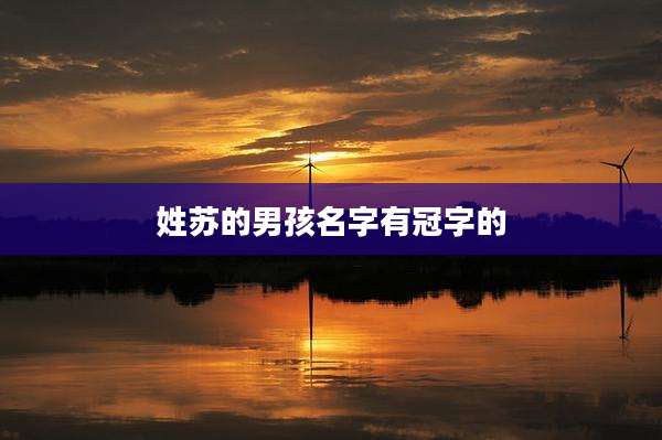 姓苏的男孩名字有冠字的