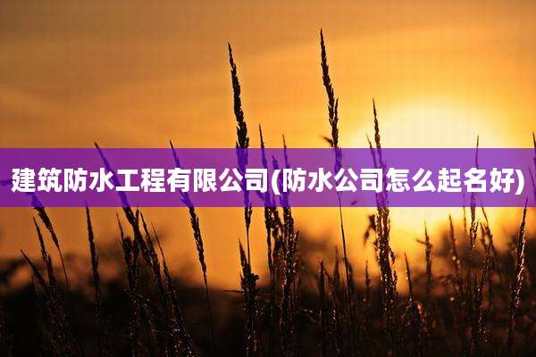 建筑防水工程有限公司(防水公司怎么起名好)