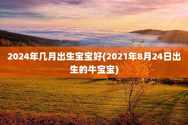 2024年几月出生宝宝好(2021年8月24日出生的牛宝宝)