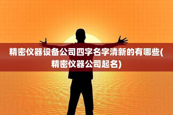精密仪器设备公司四字名字清新的有哪些(精密仪器公司起名)