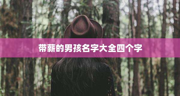 带薪的男孩名字大全四个字