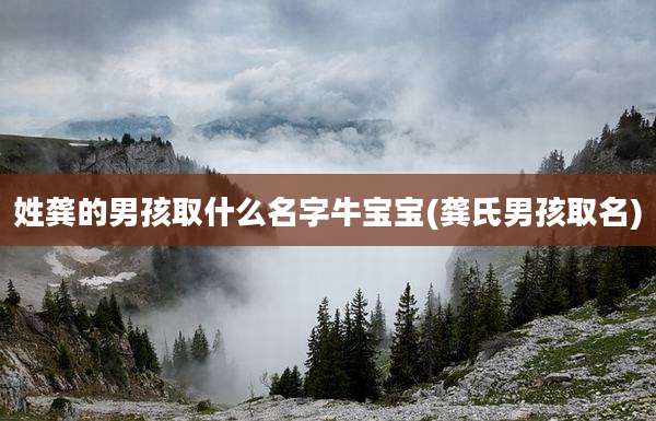 姓龚的男孩取什么名字牛宝宝(龚氏男孩取名)