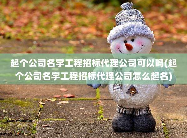 起个公司名字工程招标代理公司可以吗(起个公司名字工程招标代理公司怎么起名)