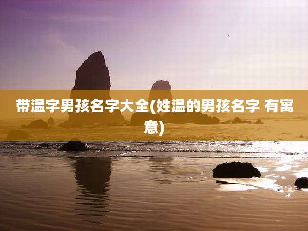 带温字男孩名字大全(姓温的男孩名字 有寓意)