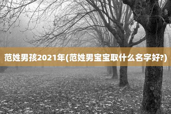 范姓男孩2021年(范姓男宝宝取什么名字好?)