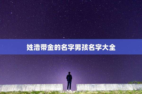 姓浩带金的名字男孩名字大全