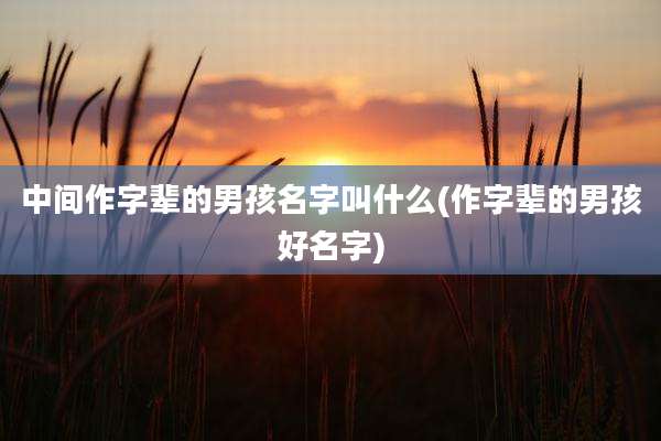 中间作字辈的男孩名字叫什么(作字辈的男孩好名字)