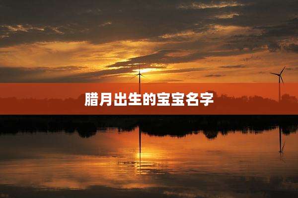 腊月出生的宝宝名字