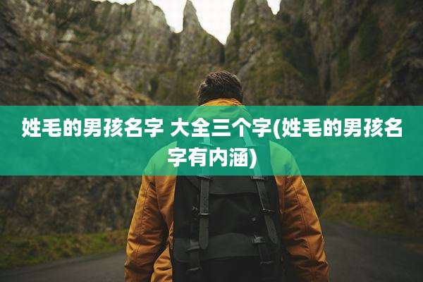 姓毛的男孩名字 大全三个字(姓毛的男孩名字有内涵)