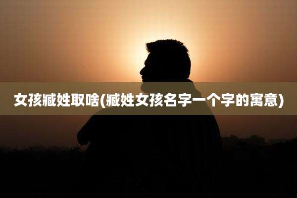 女孩臧姓取啥(臧姓女孩名字一个字的寓意)