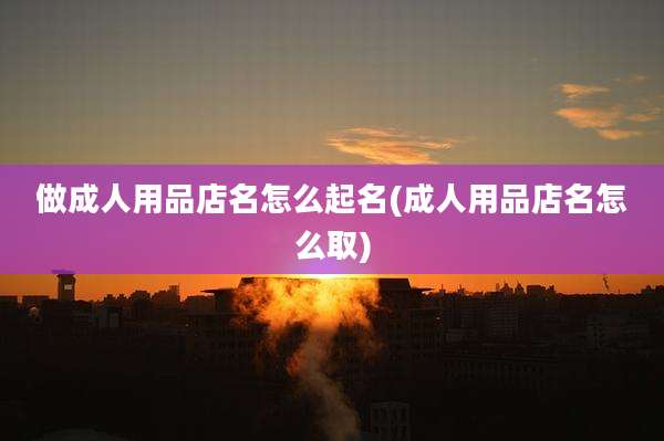 做成人用品店名怎么起名(成人用品店名怎么取)