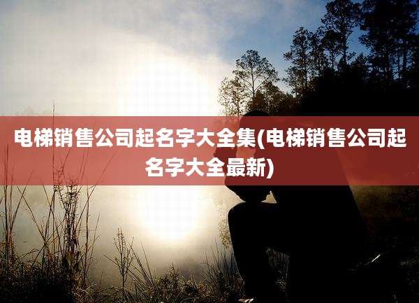 电梯销售公司起名字大全集(电梯销售公司起名字大全最新)