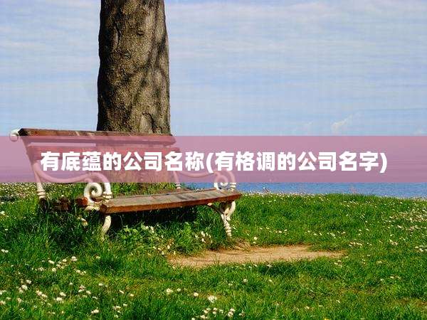有底蕴的公司名称(有格调的公司名字)