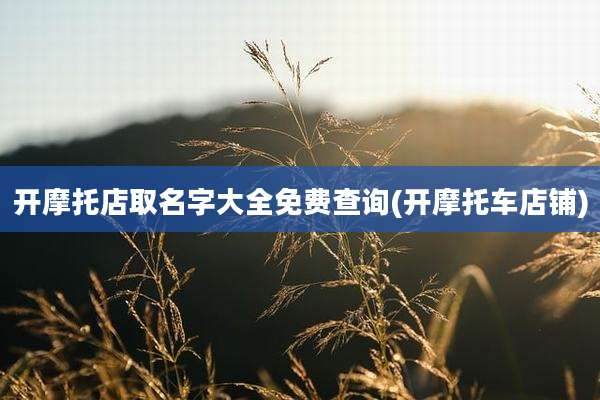 开摩托店取名字大全免费查询(开摩托车店铺)
