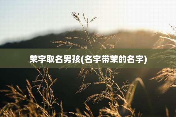 茉字取名男孩(名字带茉的名字)