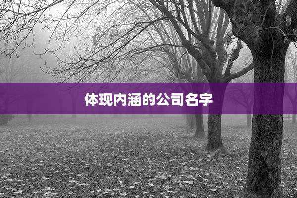 体现内涵的公司名字