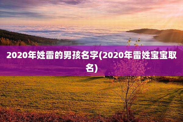 2020年姓雷的男孩名字(2020年雷姓宝宝取名)