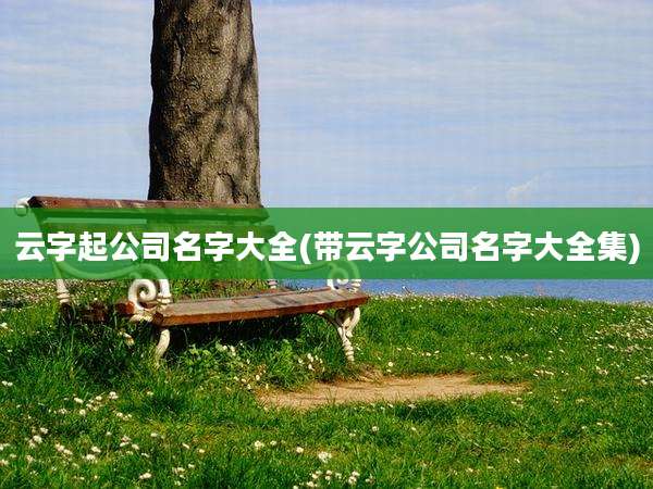 云字起公司名字大全(带云字公司名字大全集)
