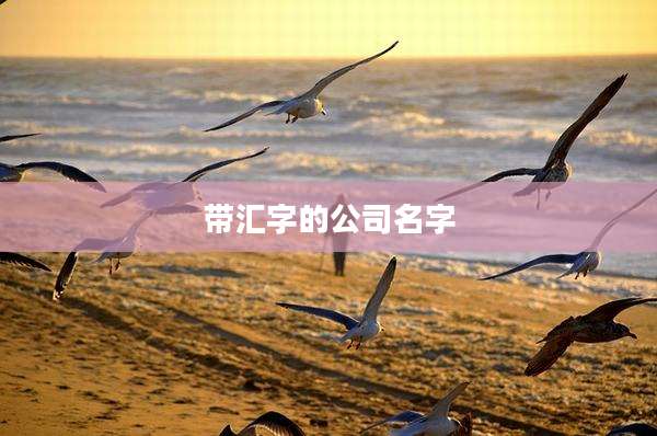 带汇字的公司名字