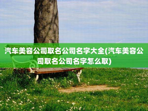 汽车美容公司取名公司名字大全(汽车美容公司取名公司名字怎么取)