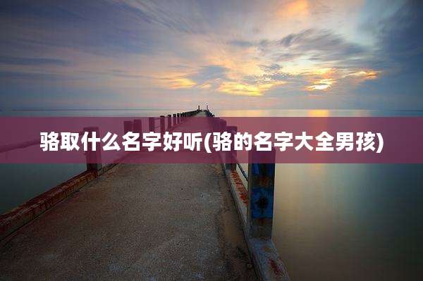 骆取什么名字好听(骆的名字大全男孩)