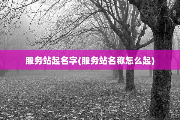服务站起名字(服务站名称怎么起)