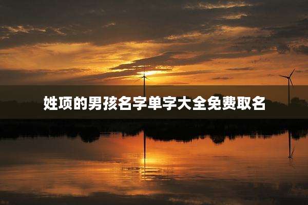 姓项的男孩名字单字大全免费取名