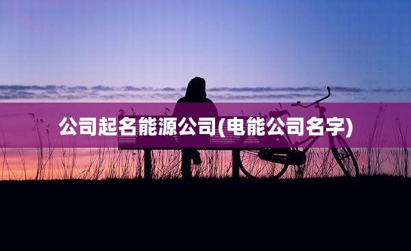 公司起名能源公司(电能公司名字)