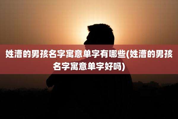姓漕的男孩名字寓意单字有哪些(姓漕的男孩名字寓意单字好吗)