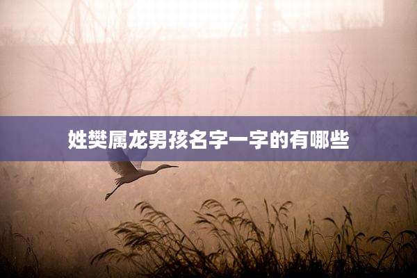 姓樊属龙男孩名字一字的有哪些