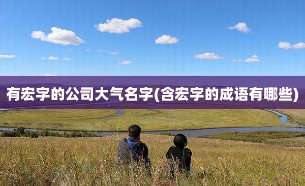 有宏字的公司大气名字(含宏字的成语有哪些)